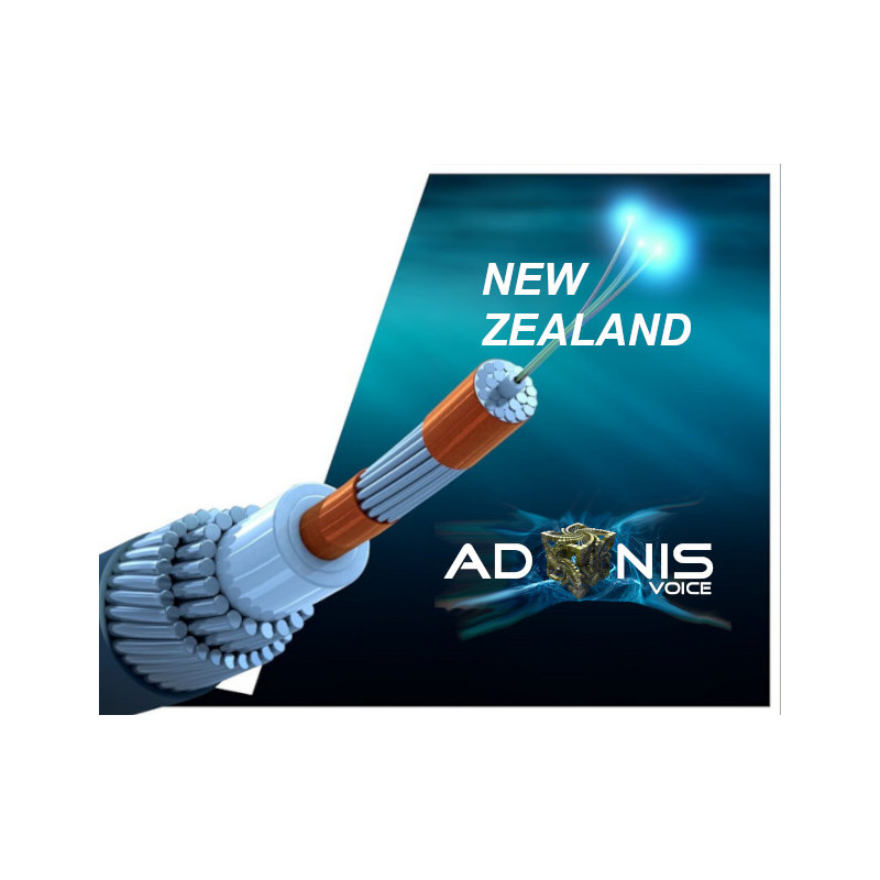 Fiber Broadband 100/20, UL NZ ONLY - Business Grade - monthly