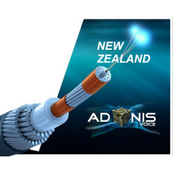 Fiber Broadband 200/200, UL NZ ONLY - Business Grade - monthly subscription