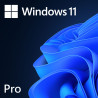 Microsoft Windows 11 Professional 64bit OEM Key w/DVD